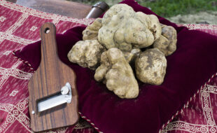 tartufo bianco citta di castello