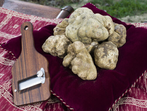 tartufo bianco citta di castello