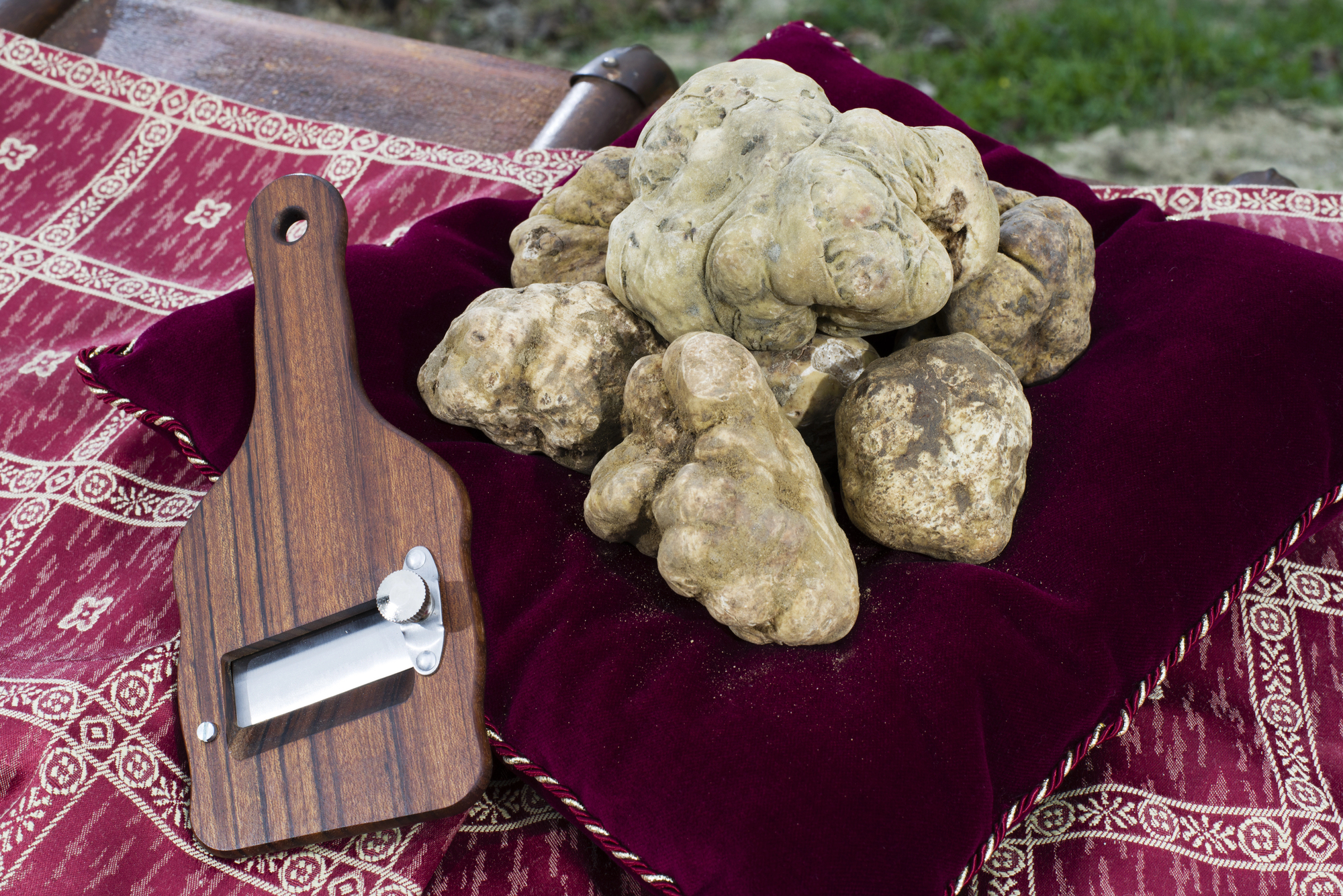 tartufo bianco citta di castello