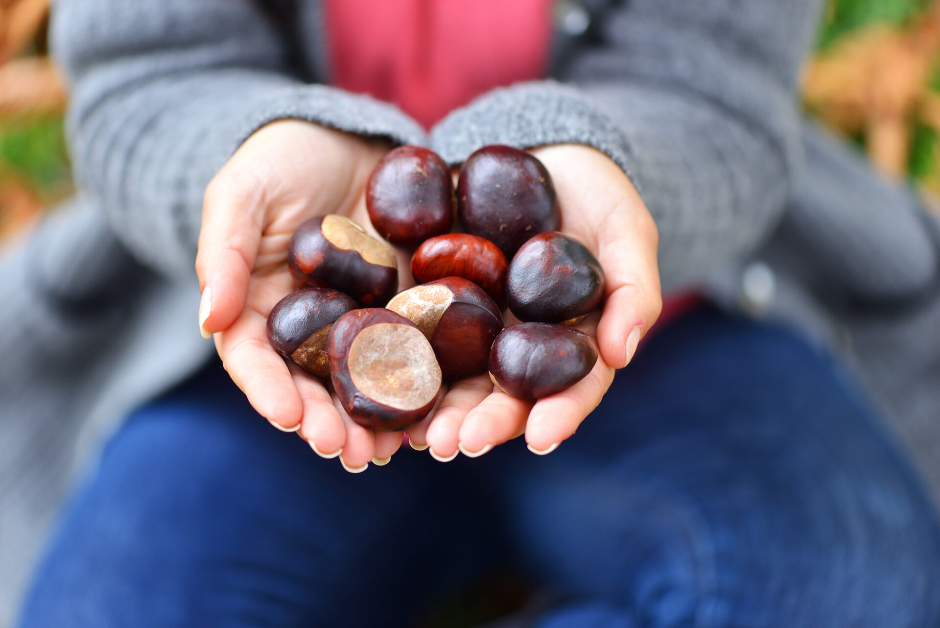 castagne in mano ad un uomo