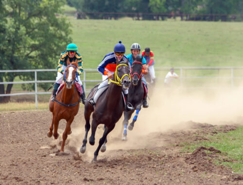 gara di endurance caldese