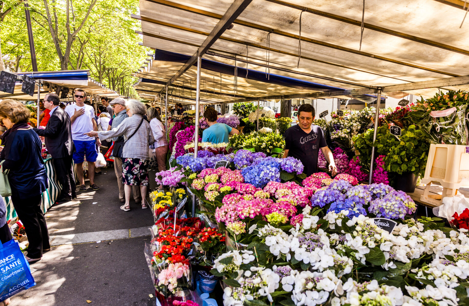 fiori in città