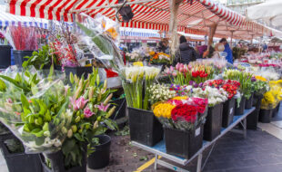 festa dei fiori città di castello