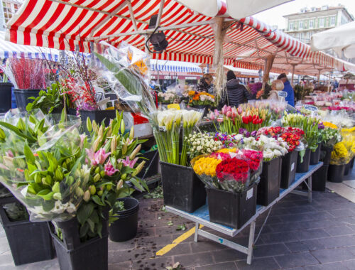 festa dei fiori città di castello