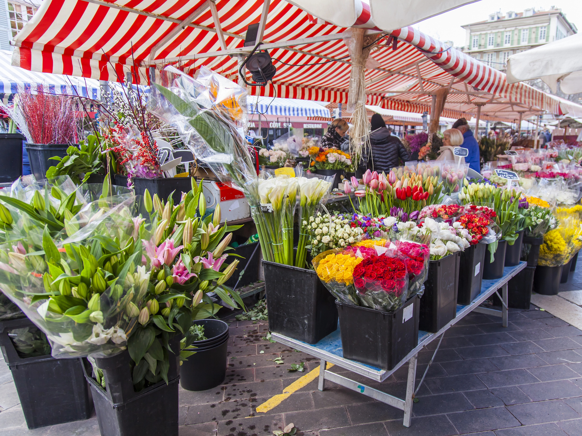 festa dei fiori città di castello