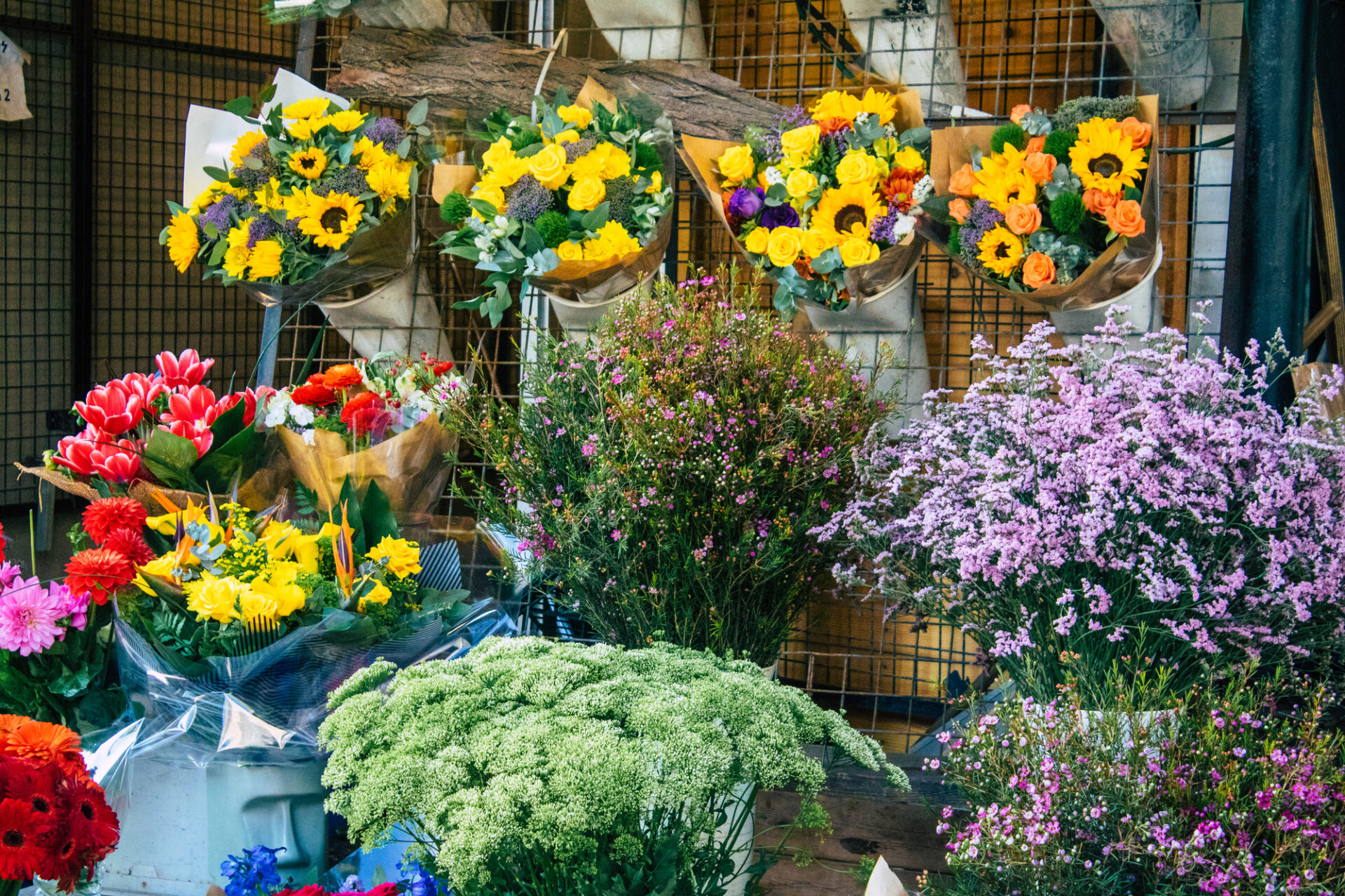 festa dei fiori città di castello