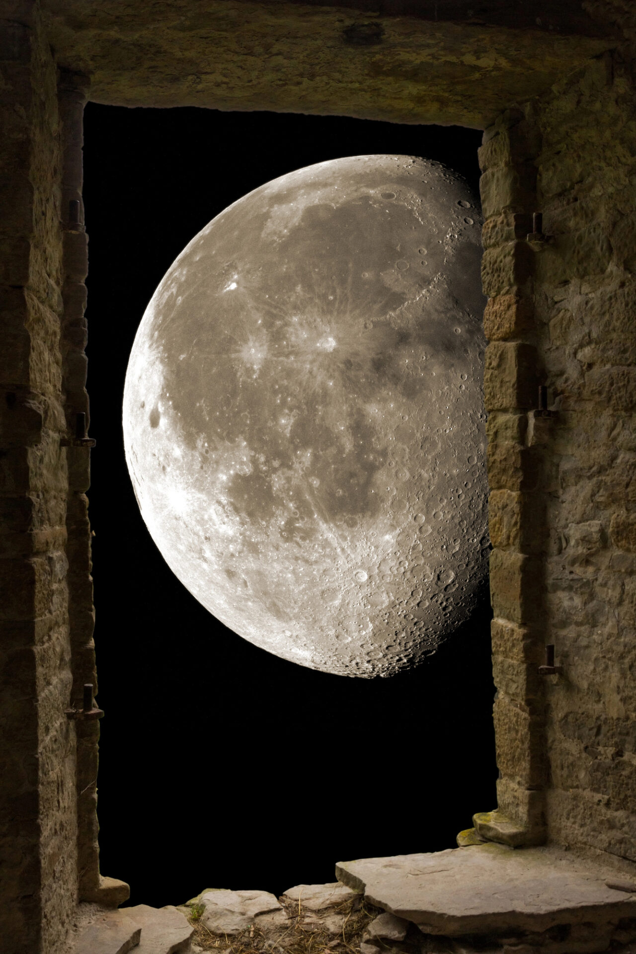 pinacoteca al chiaro di luna dettaglio