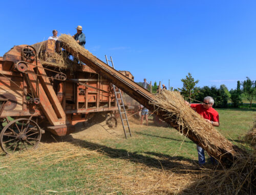 Festa della Battitura del Grano