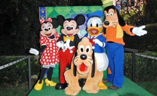 parata disney