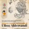 mostra alla biblioteca carducci